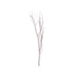 6 Pack Natural Extra Long Willow Tree Branches, 46" Natural Dried Birch Twigs Sticks Vase Fillers