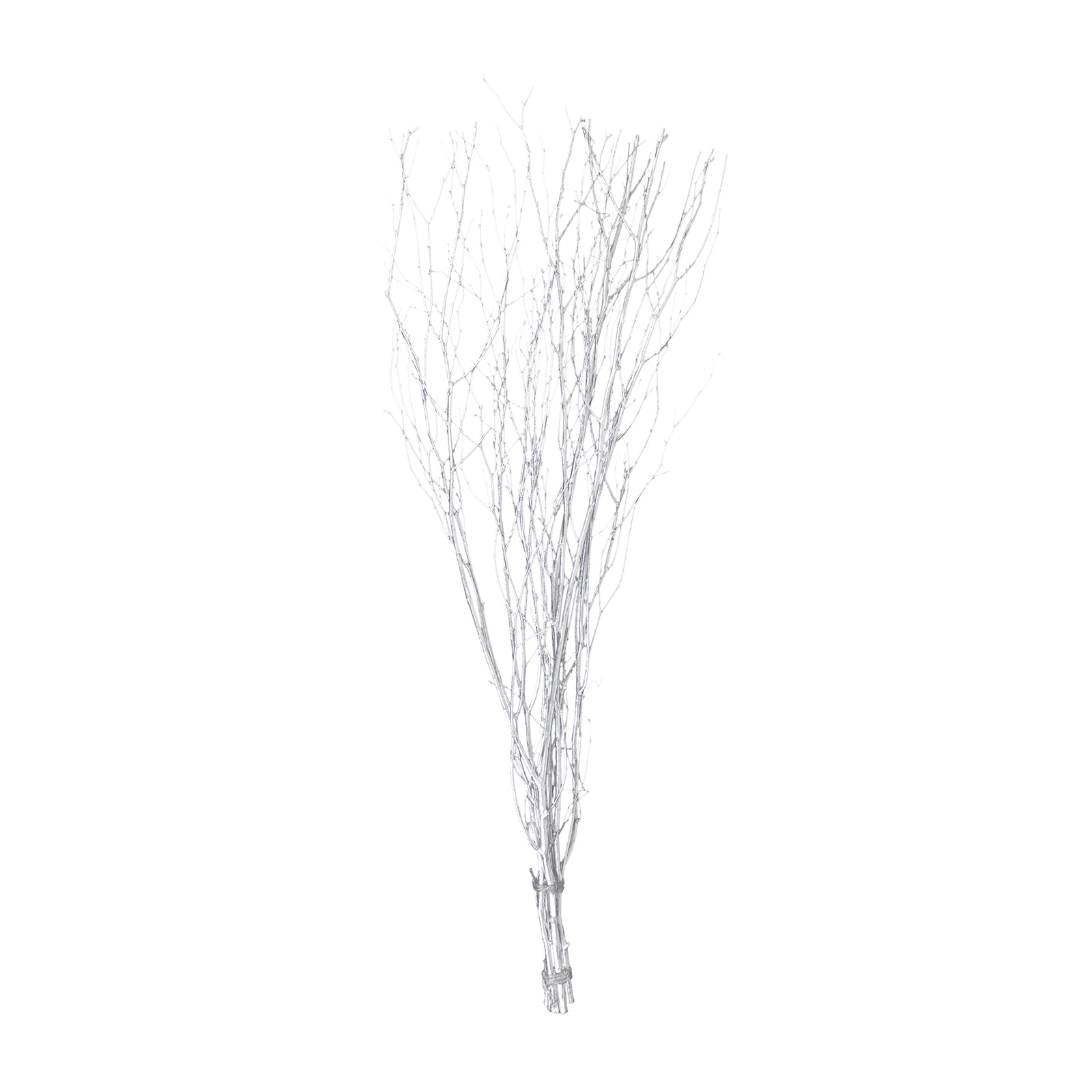 6 Pack Metallic Silver Extra Long Willow Tree Branches, 46" Natural Dried Birch Twigs Sticks Vase Fillers#whtbkgd