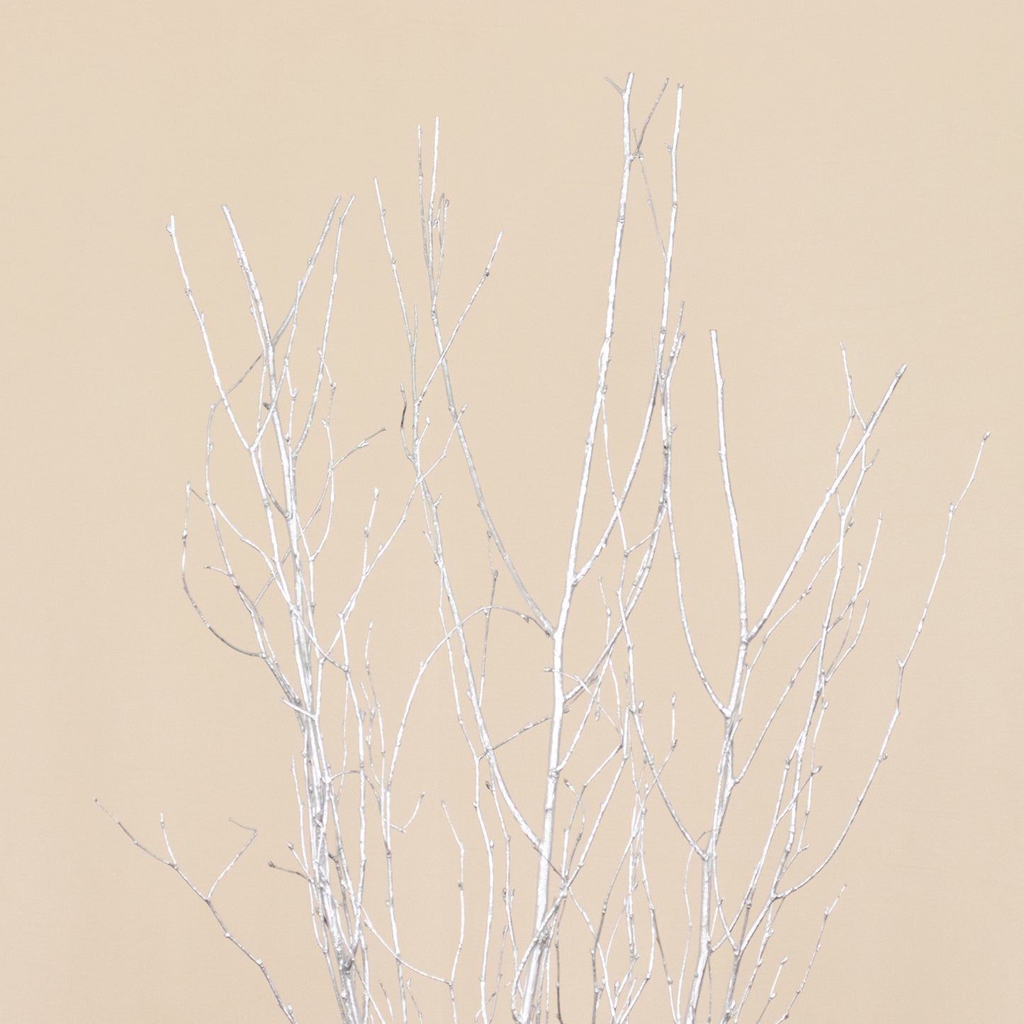 6 Pack Metallic Silver Extra Long Willow Tree Branches, 46" Natural Dried Birch Twigs Sticks Vase Fillers