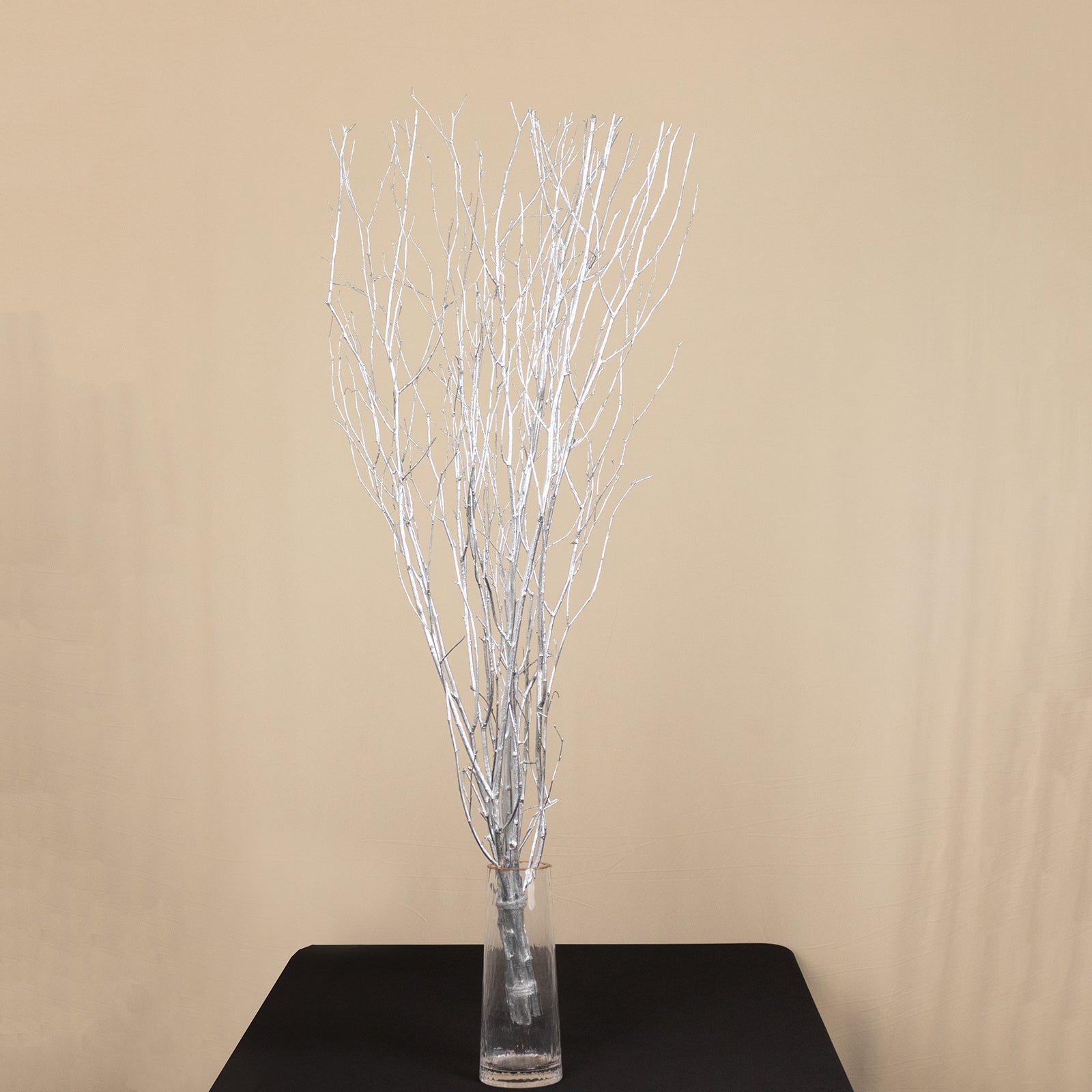 6 Pack Metallic Silver Extra Long Willow Tree Branches, 46" Natural Dried Birch Twigs Sticks Vase Fillers