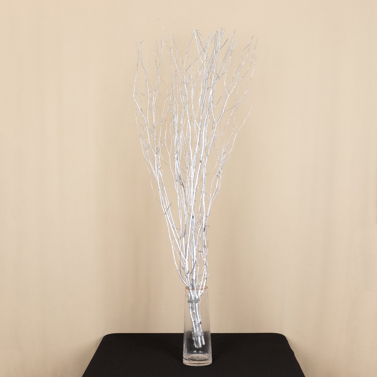 6 Pack Metallic Silver Extra Long Willow Tree Branches, 46" Natural Dried Birch Twigs Sticks Vase Fillers