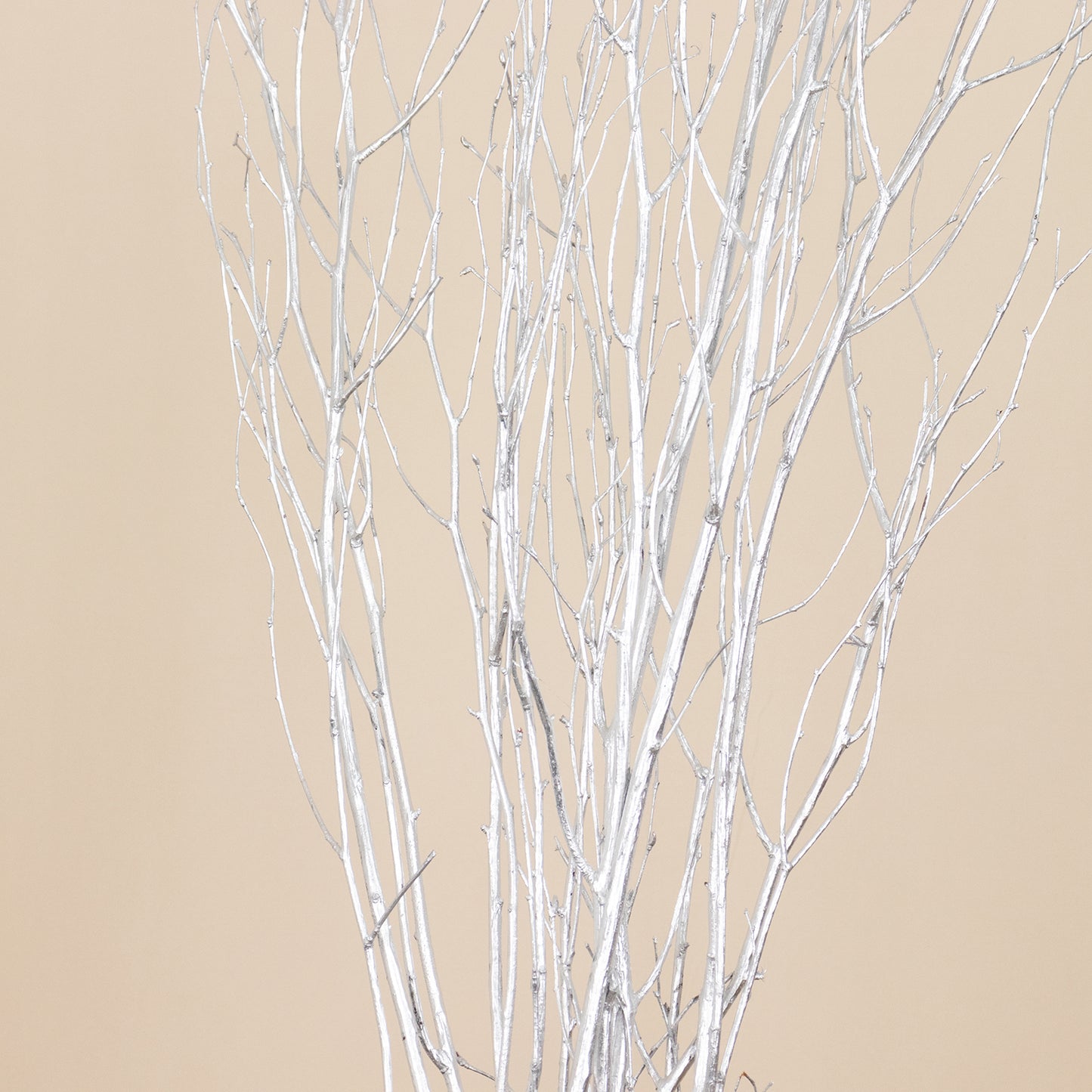 6 Pack Metallic Silver Extra Long Willow Tree Branches, 46" Natural Dried Birch Twigs Sticks Vase Fillers