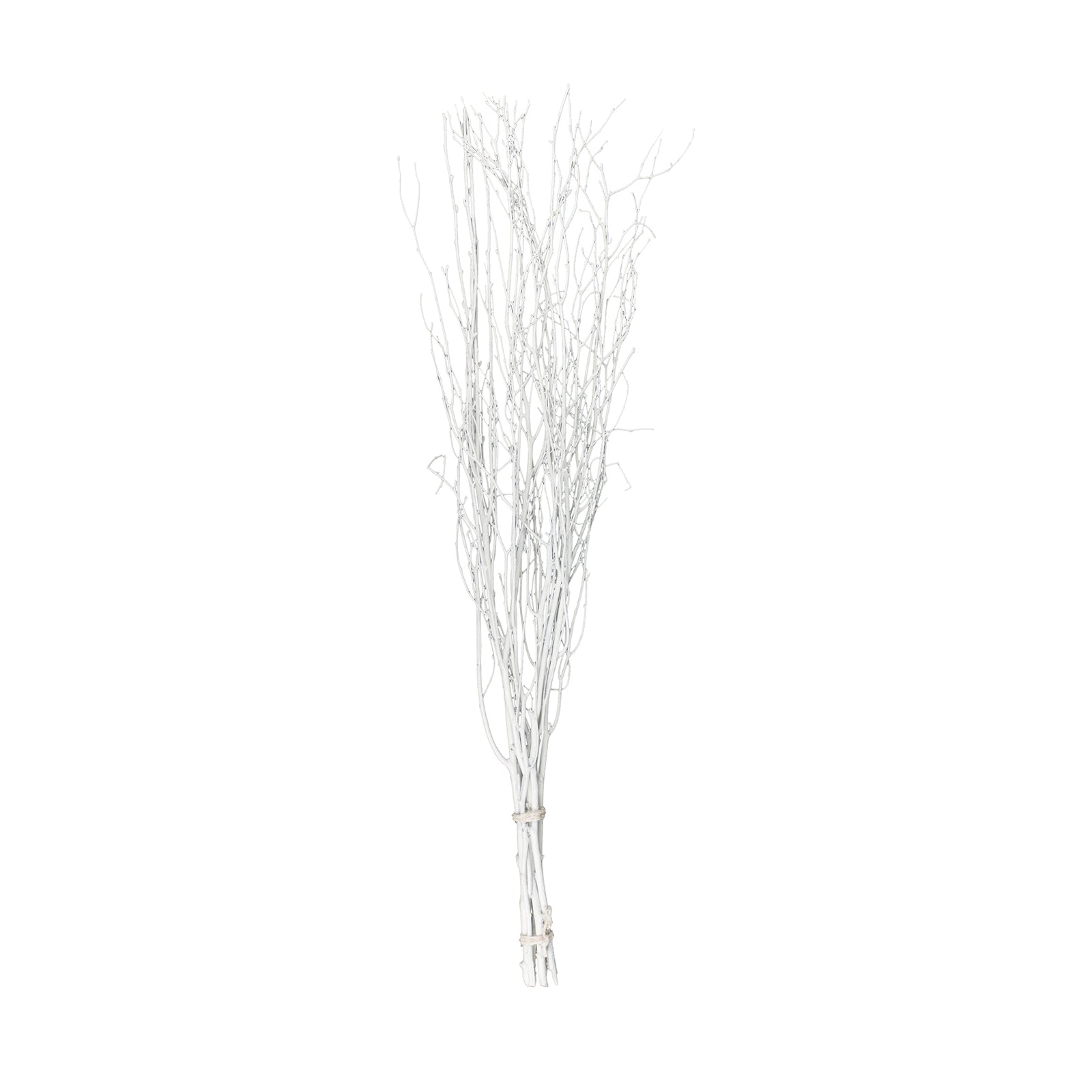 6 Pack White Extra Long Willow Tree Branches, 46" Natural Dried Birch Twigs Sticks Vase Fillers#whtbkgd