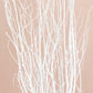 6 Pack White Extra Long Willow Tree Branches, 46" Natural Dried Birch Twigs Sticks Vase Fillers