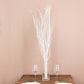 6 Pack White Extra Long Willow Tree Branches, 46" Natural Dried Birch Twigs Sticks Vase Fillers