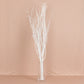 6 Pack White Extra Long Willow Tree Branches, 46" Natural Dried Birch Twigs Sticks Vase Fillers