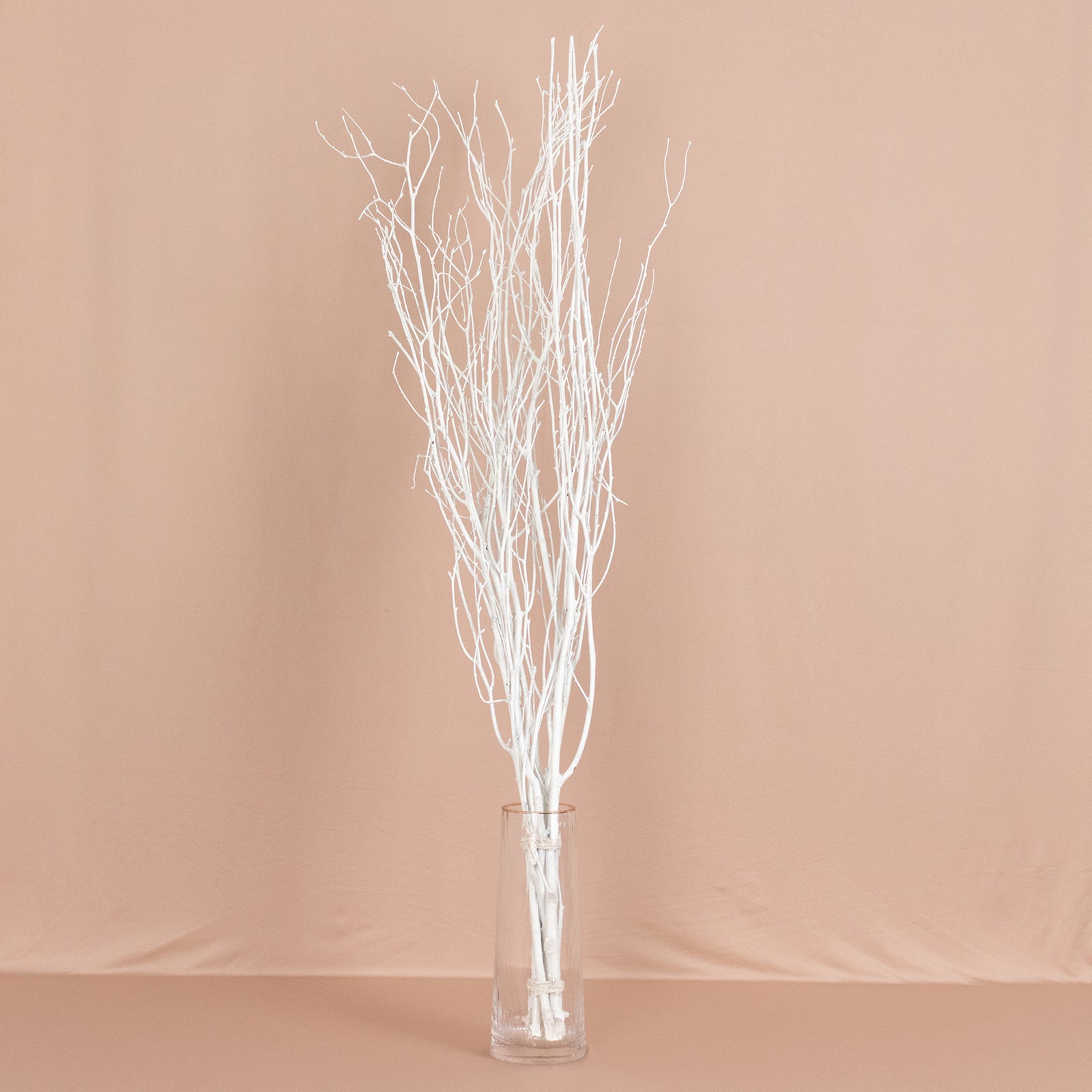 6 Pack White Extra Long Willow Tree Branches, 46" Natural Dried Birch Twigs Sticks Vase Fillers