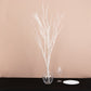 6 Pack White Extra Long Willow Tree Branches, 46" Natural Dried Birch Twigs Sticks Vase Fillers