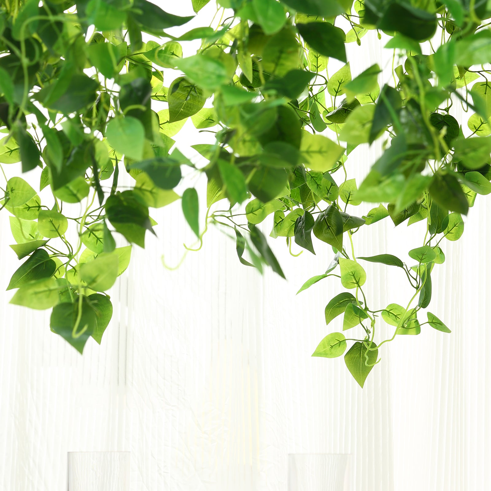 Round Eucalyptus Vine Canopy - Main Image