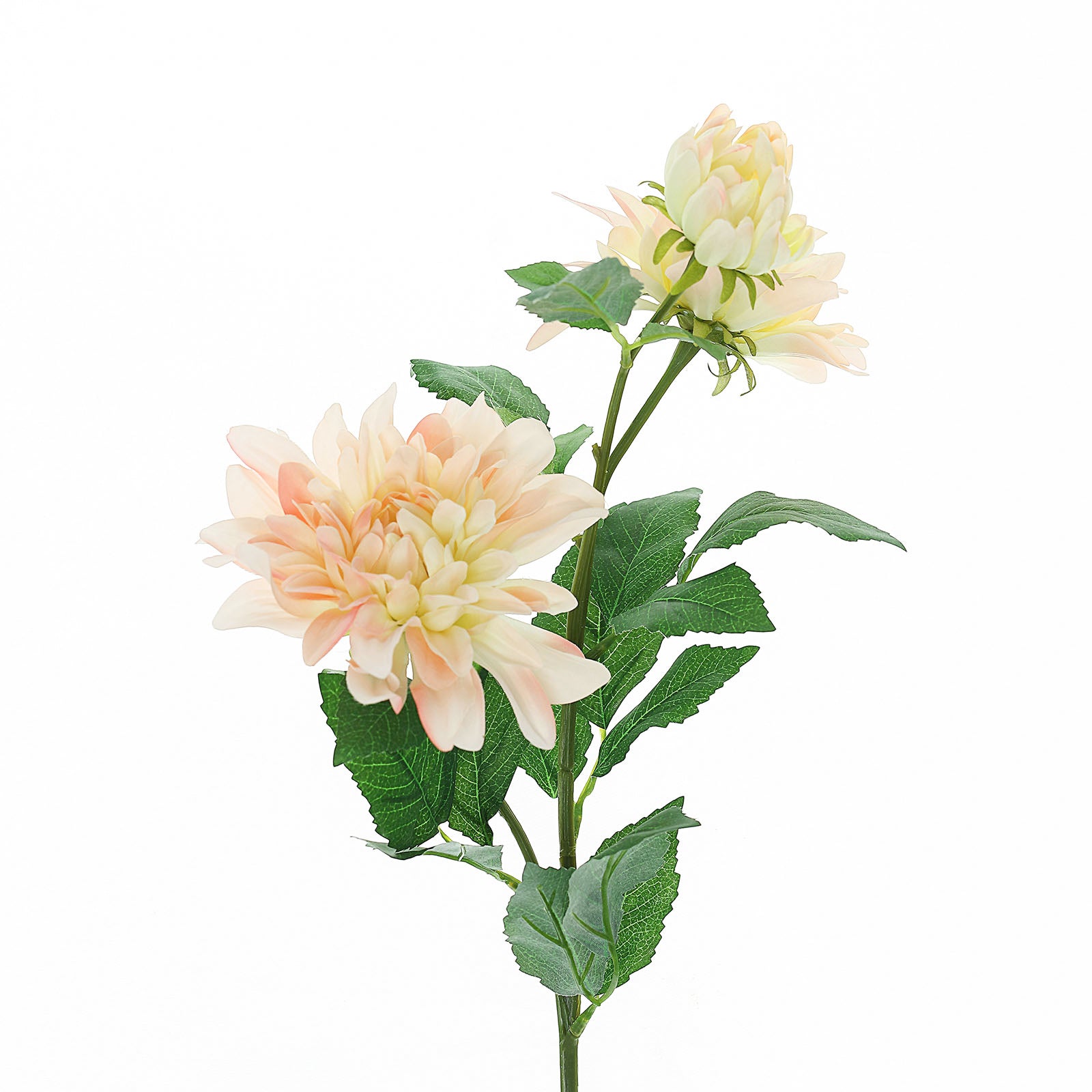 30" Tall Blush Cream Artificial Dahlia Silk Flower Stems, Faux Floral Spray