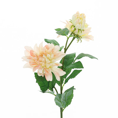 Realistic Elegance of Blush Cream Dahlia Stems