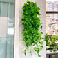 3 Pack Green Pothos Artificial Ivy Vine Hanging Plants, Fake Foliage Silk Leaves