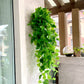 Green pothos artificial ivy vine hanging plants garland, 3ft long.