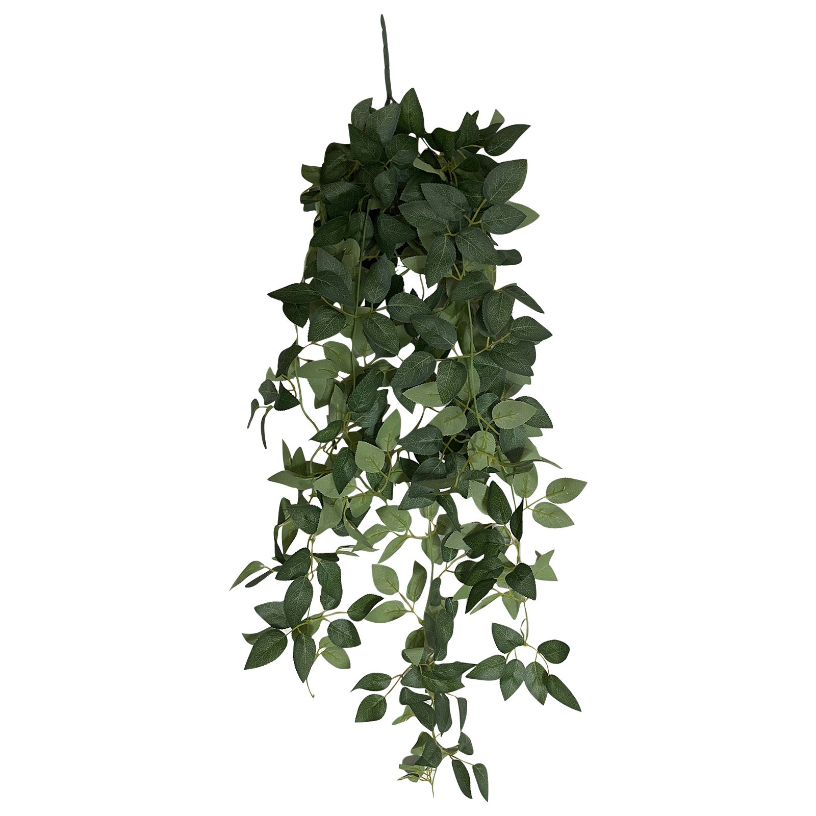 Green silk rose leaf hanging plants for home and patio decor. #whtbkgd