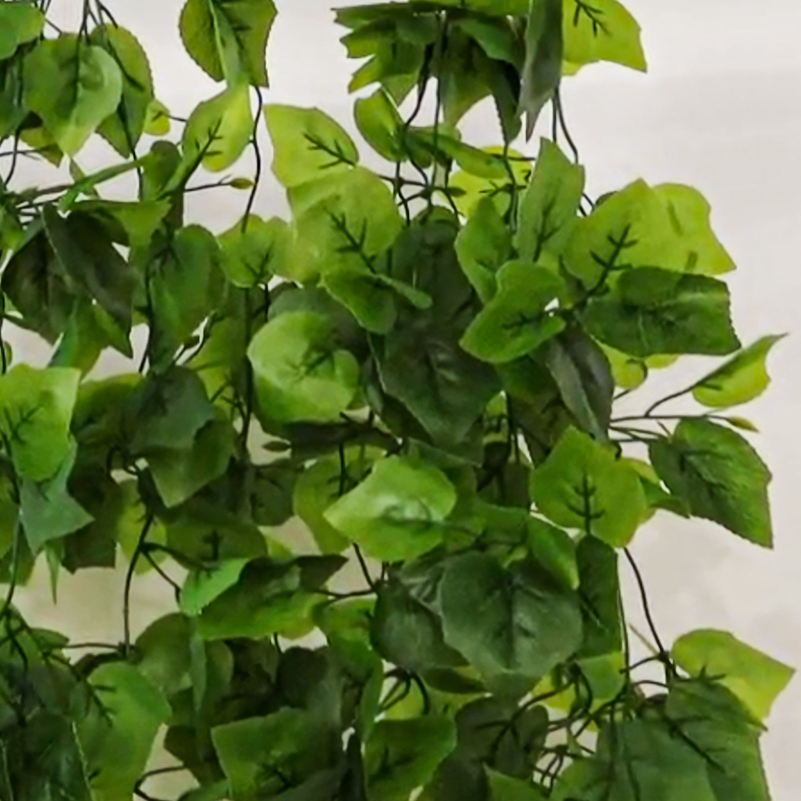 3ft artificial greenery with green cottonwood leaves for walls and backdrops.