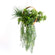 Grass & boxwood w/hoop