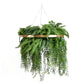 Large faux greenery hoop chandelier with gold ring and draping ferns.