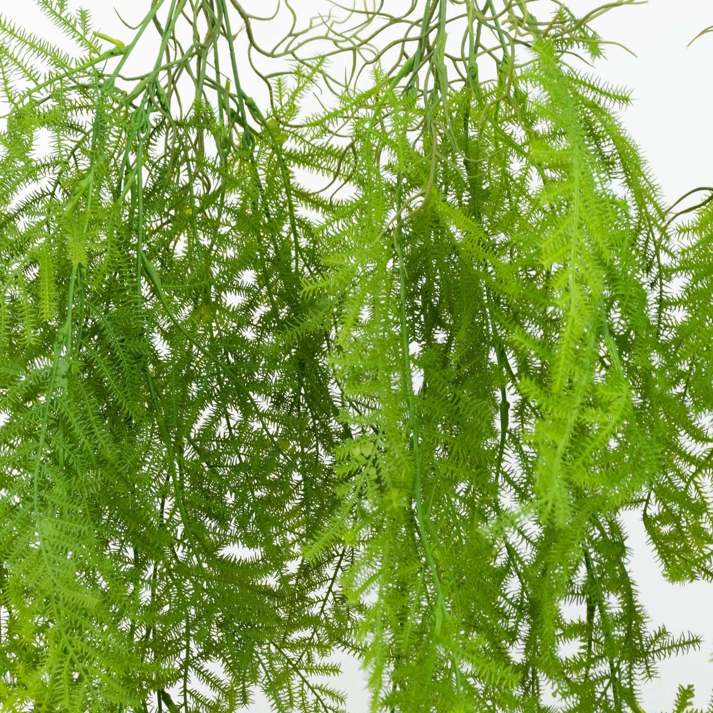 10 Pack Artificial Hanging Fern Bushes – 32" Asparagus Fern Trailing Plants for Green Wall, Vertical