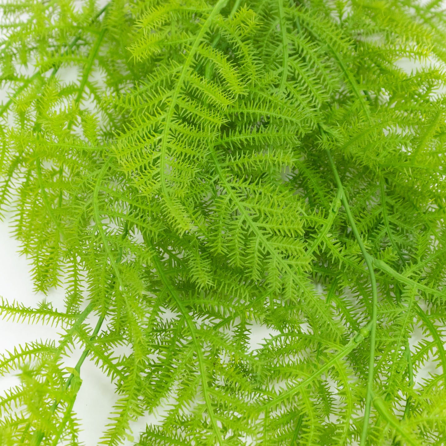 10 Pack Artificial Hanging Fern Bushes – 32" Asparagus Fern Trailing Plants for Green Wall, Vertical