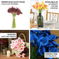 White artificial calla lily flowers in a bouquet of 20 stems.