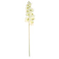 2 Stems | 40" Tall Cream Artificial Silk Orchid Flower Bouquets