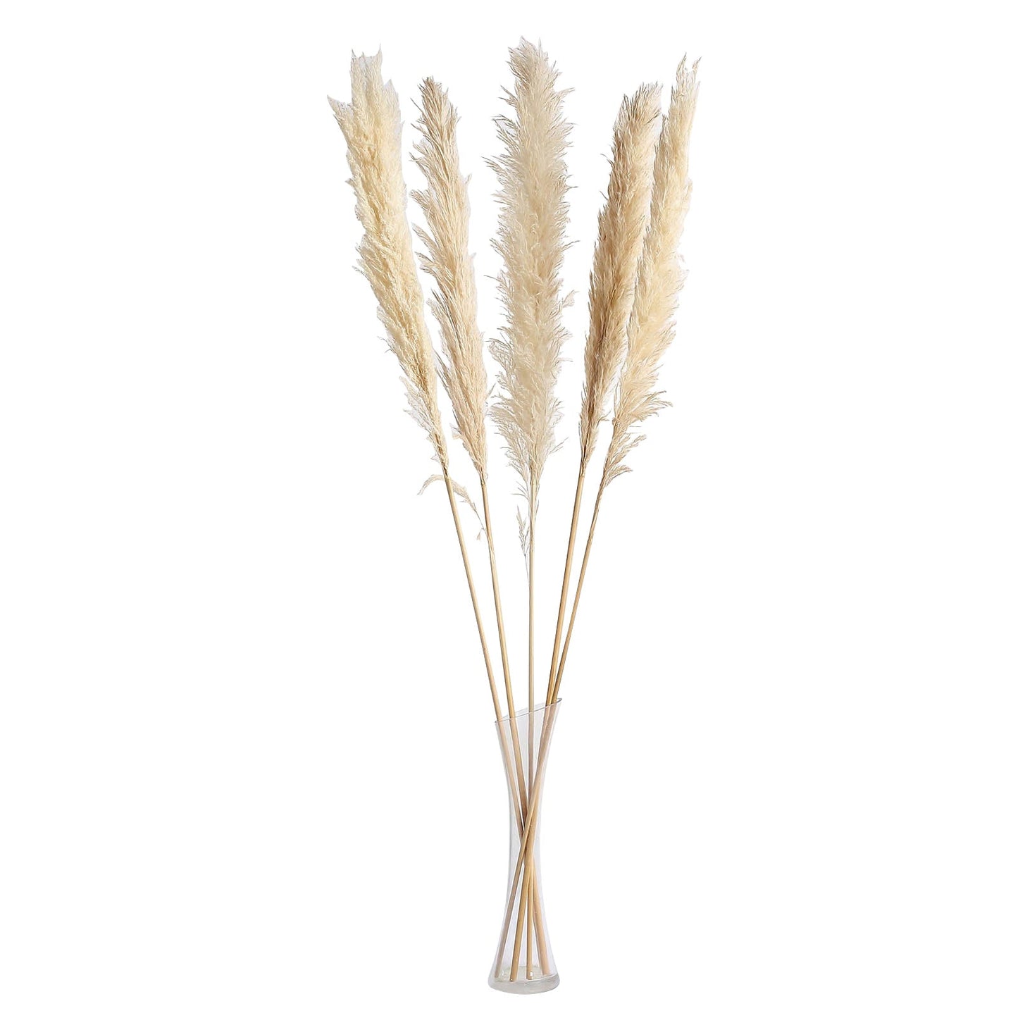 6 Stems | 49" Wheat Tint Dried Natural Pampas Grass Plant Sprays