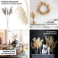 Natural tint dried pampas grass sprays in light beige, perfect for home decor.