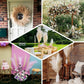 Dusty rose artificial pampas grass plant sprays in various floral arrangements.
