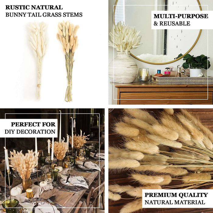 50 Pack | 15" Natural White Rabbit Tail Dried Pampas Grass Flower Bouquets, Boho Stem Arrangements