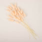 Blush rabbit tail dried pampas grass flower bouquet arrangement.