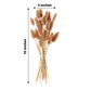 Brown dried pampas grass flower bouquet, 15 inches tall, boho decor.