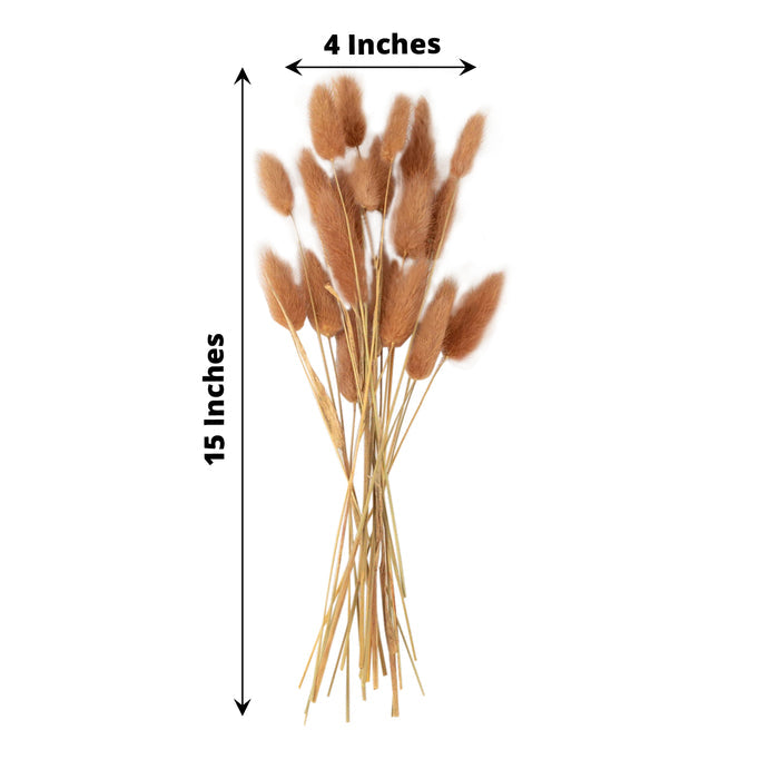 50 Pack | 15" Brown Rabbit Tail Dried Pampas Grass Flower Bouquets, Boho Stem Arrangements