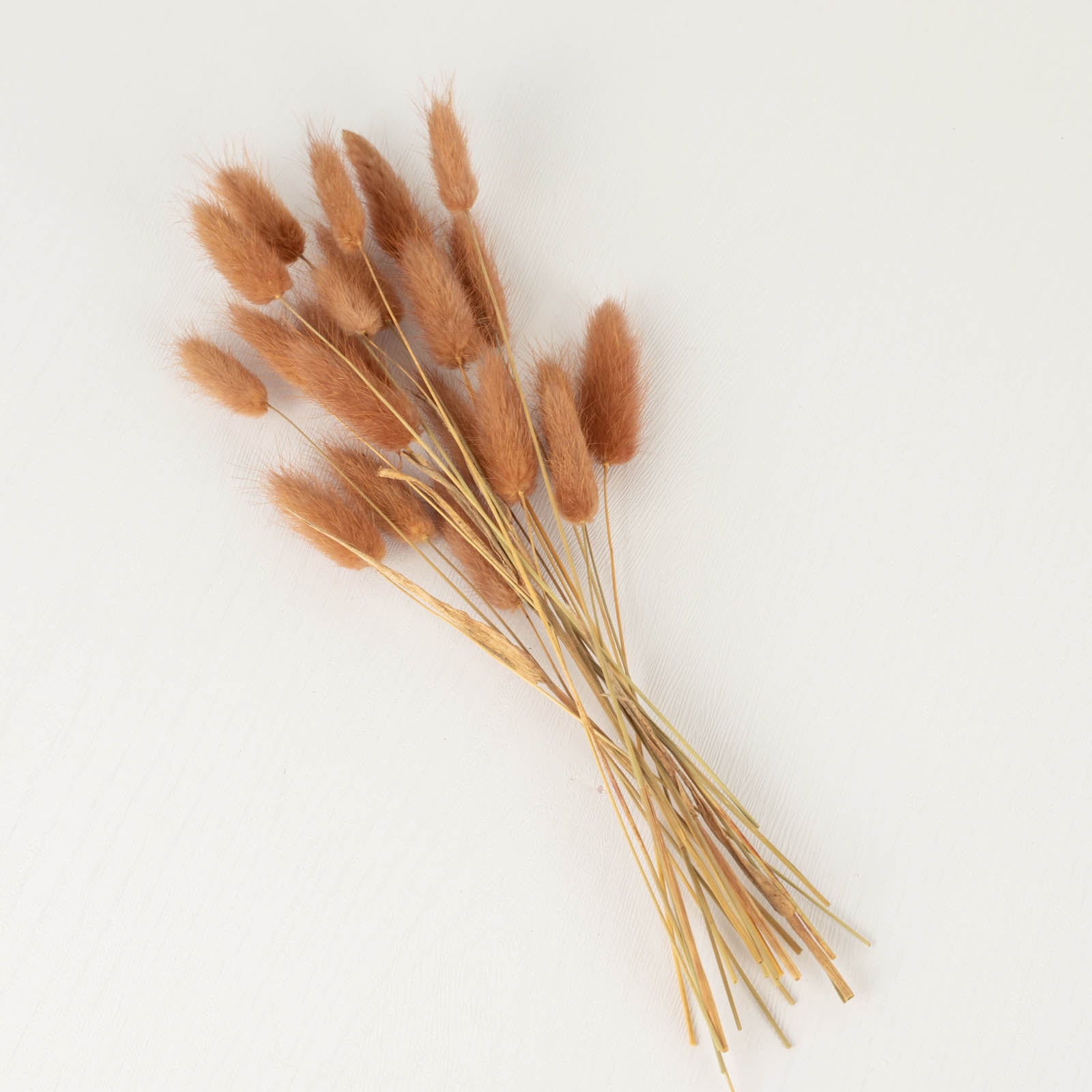 50 Pack | 15" Brown Rabbit Tail Dried Pampas Grass Flower Bouquets, Boho Stem Arrangements