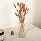 15" brown rabbit tail dried pampas grass bouquet in a glass vase.