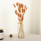 Dried brown rabbit tail pampas grass bouquet in a glass vase.