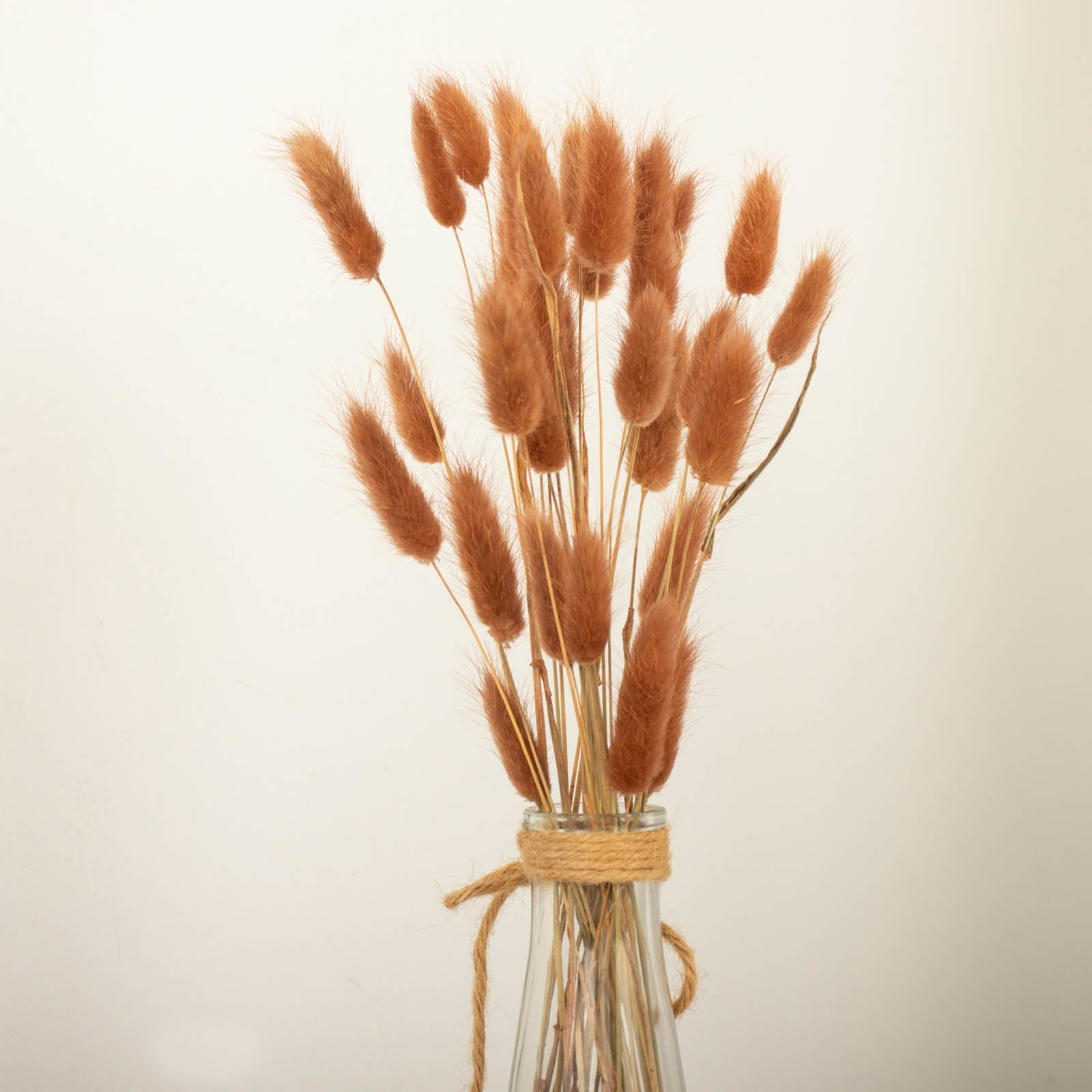 50 Pack | 15" Brown Rabbit Tail Dried Pampas Grass Flower Bouquets, Boho Stem Arrangements