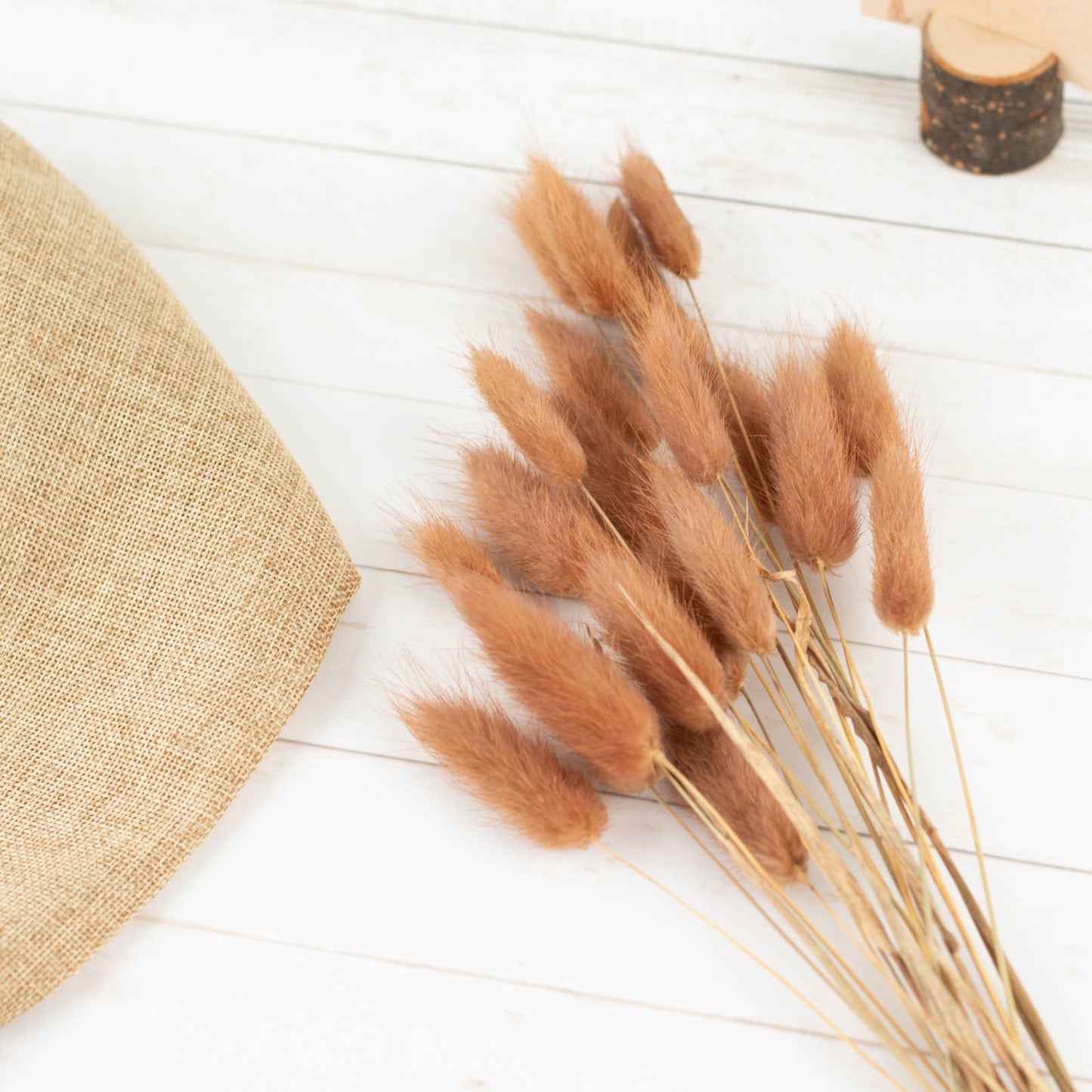 50 Pack | 15" Brown Rabbit Tail Dried Pampas Grass Flower Bouquets, Boho Stem Arrangements