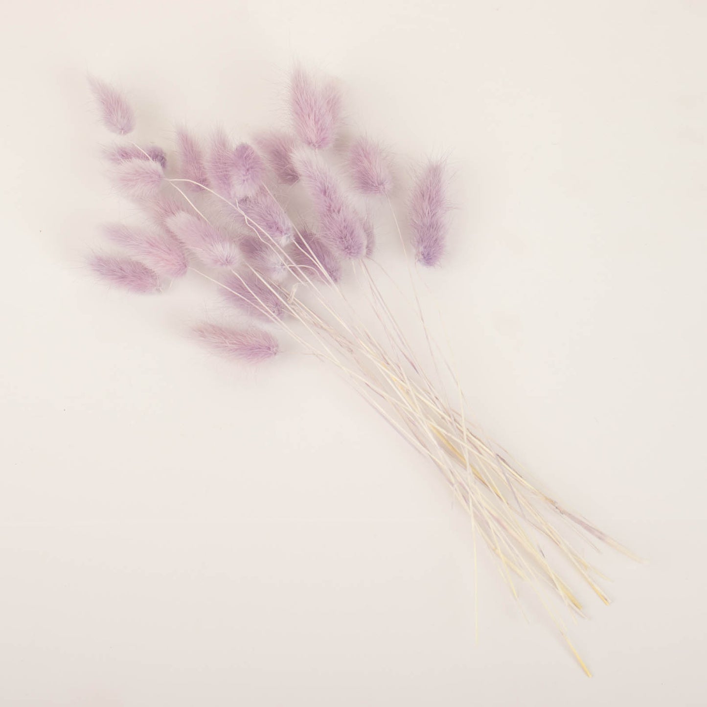 50 Pack | 15" Lavender Lilac Rabbit Tail Dried Pampas Grass Flower Bouquets, Boho Stem Arrangements