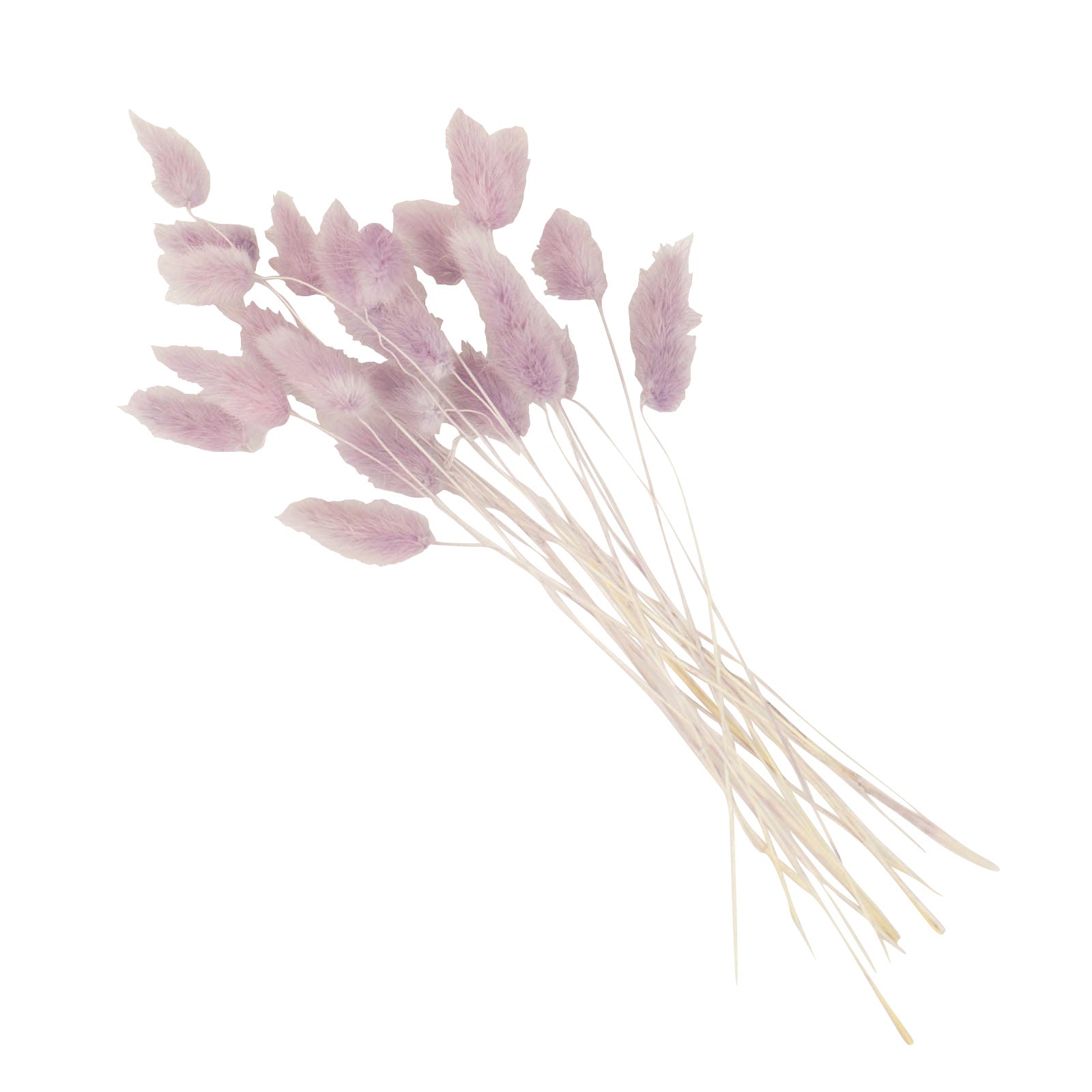 50 Pack | 15" Lavender Lilac Rabbit Tail Dried Pampas Grass Flower Bouquets, Boho Stem Arrangements