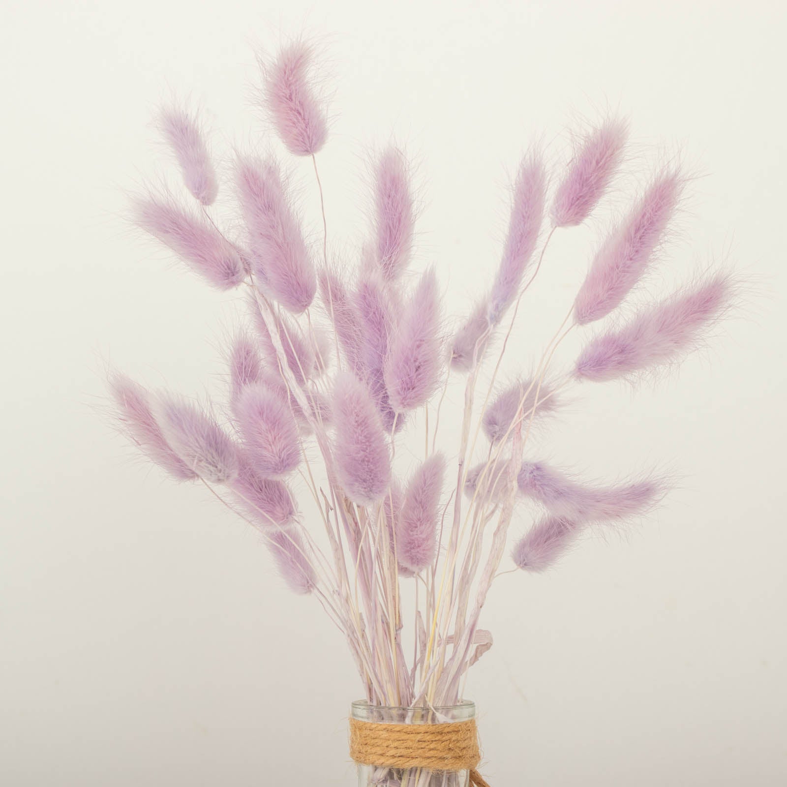 50 Pack | 15" Lavender Lilac Rabbit Tail Dried Pampas Grass Flower Bouquets, Boho Stem Arrangements