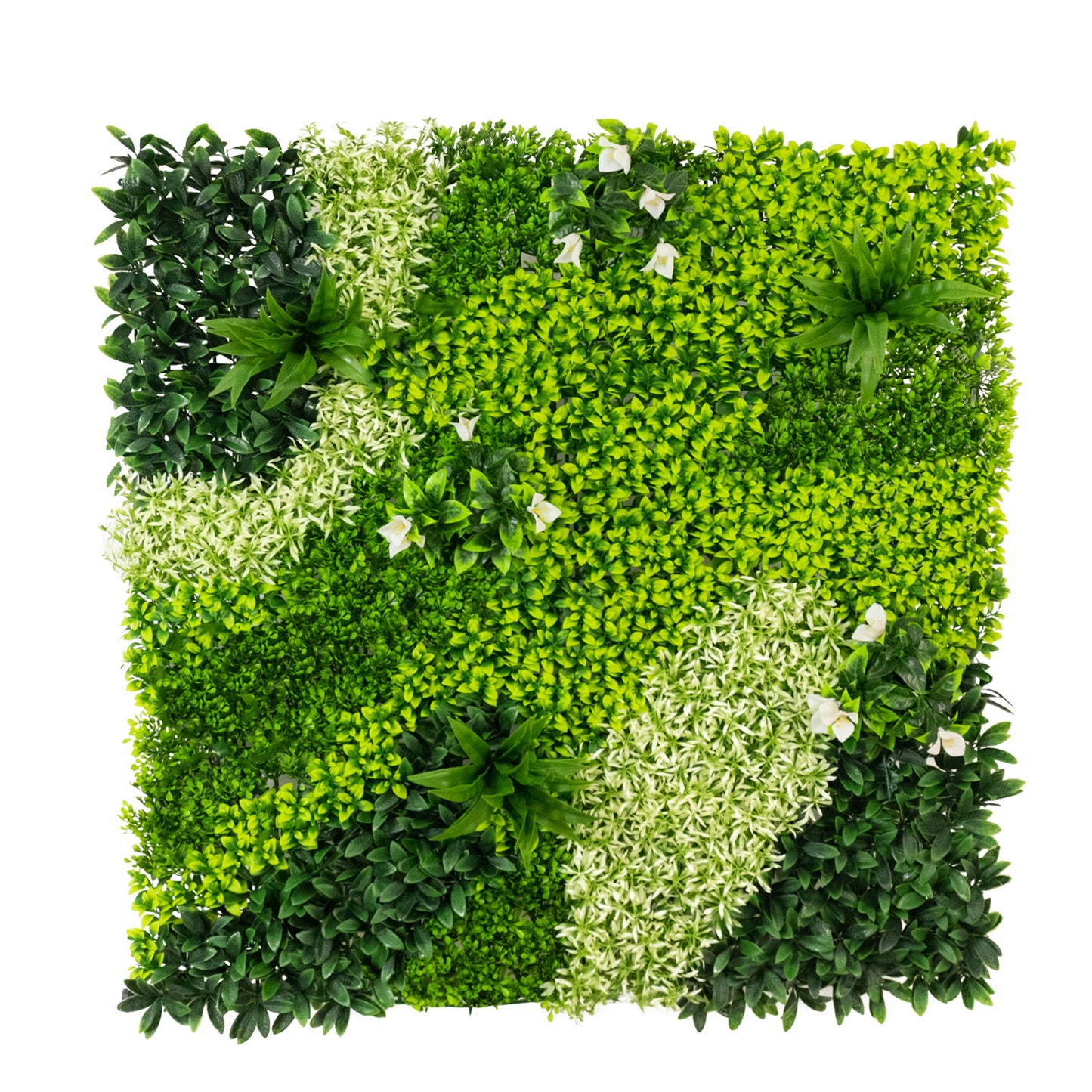 Artificial Boxwood Greenery Wall Panels, 40"×40" Grass Panels with Variegated Leaves and White Flowers, UV-Protected Backdrop for Outdoor Decor – 2 Panels, Covers 22 Sq. Ft.