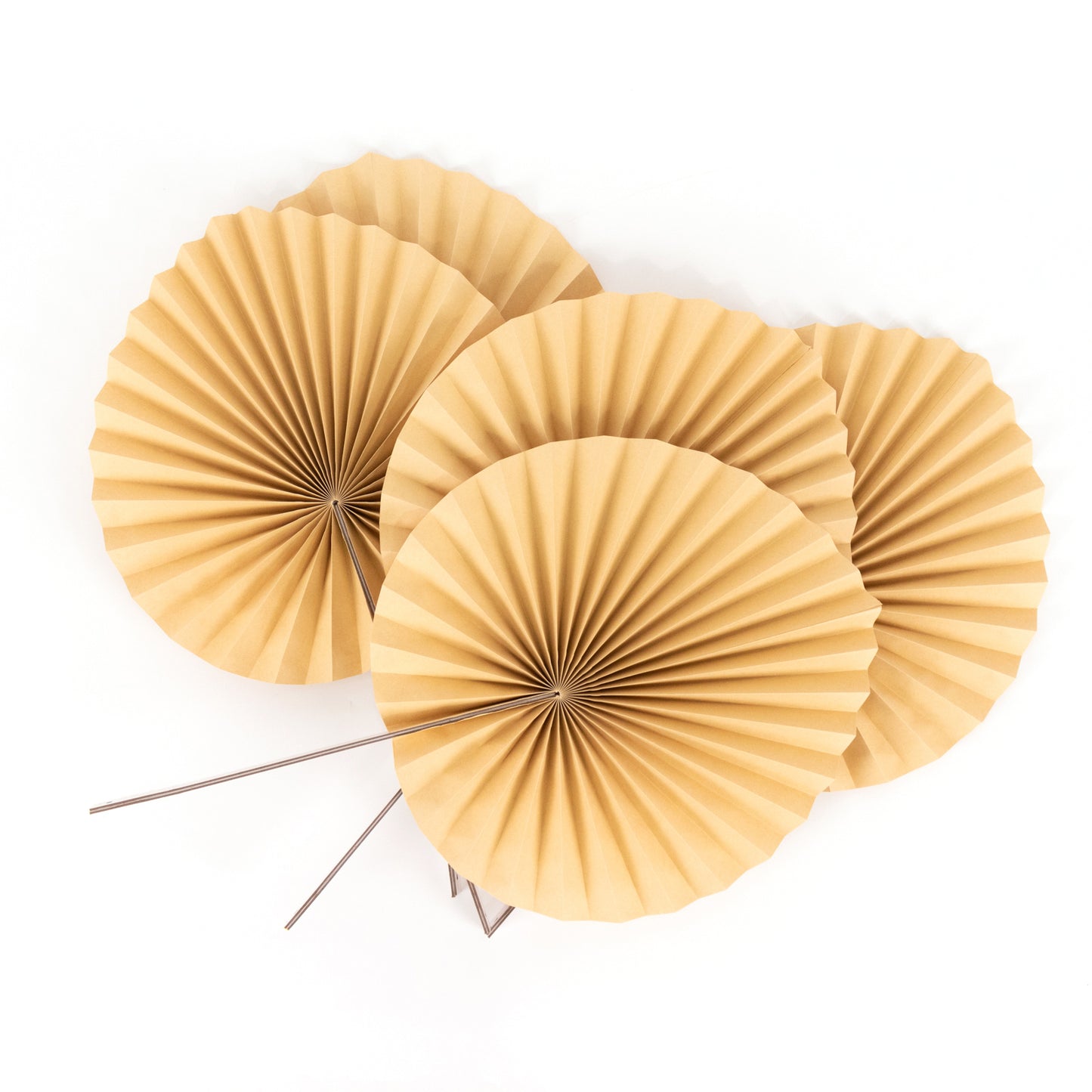 6 Pack Natural Dried Tropical Palm Leaves Paper Fans, 25" Handheld Folding Fans Boho Farmhouse Wall Table Decor