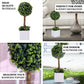 16" Green Artificial Boxwood Topiary Ball Tree In White Planter Pot