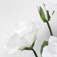 Giant Paper Rose Floor Display Set, 5 Pcs Long Stem Roses with Bud & Metal Base, 6ft, White - Freest