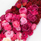 80"x18" Pre-Arranged Silk Flower Runner – White, Pink & Red Gradient Roses, Hydrangeas, Peonies & Ch