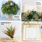 Assorted green artificial aeonium spray succulent air plants in a decorative arrangement.