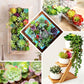 Colorful artificial mini jelly bean succulents in various arrangements.