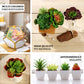 Multi-colored artificial PVC mini jelly bean succulent plants in decorative pots.