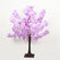 Lavender lilac