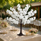 White Silk Cherry Blossom Tree Centerpiece on a table setting.